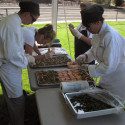 People cooking outside