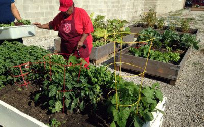 Chicago-Garden