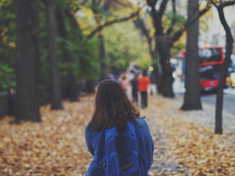 View from behind of person walking on sidewalk through trees