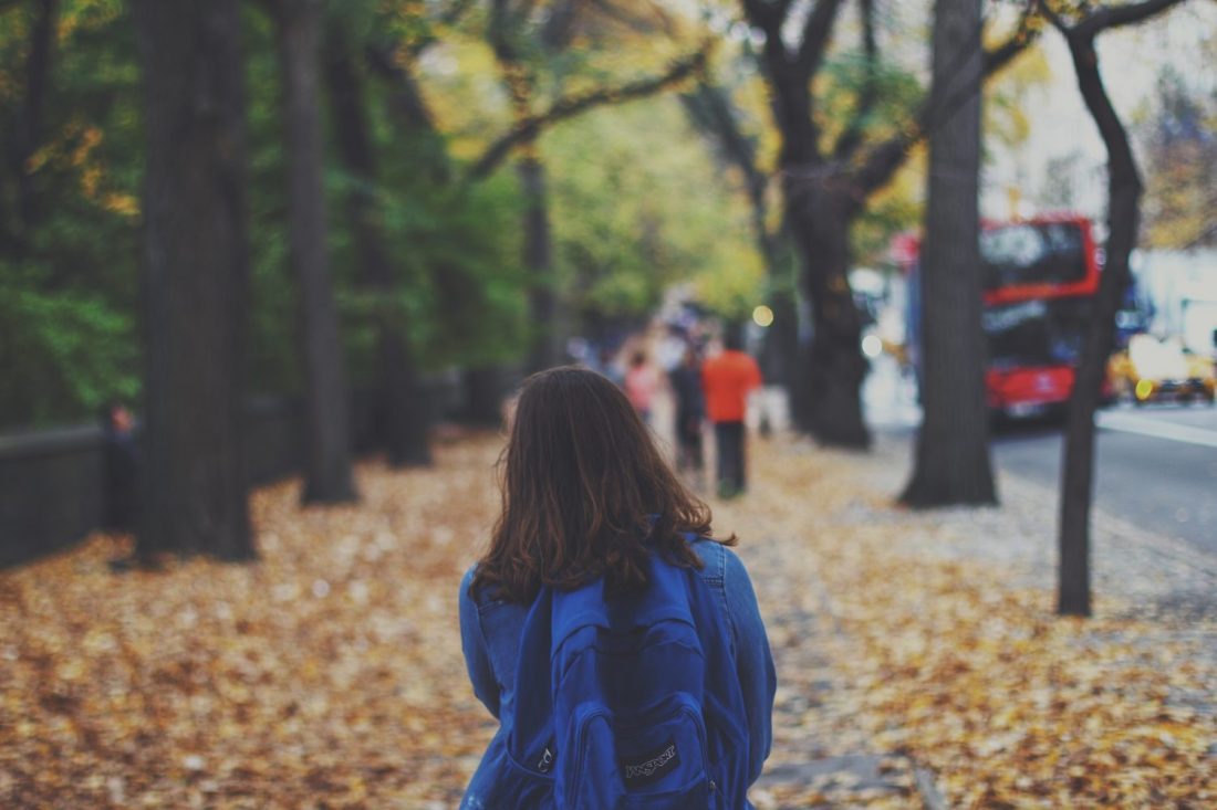 View from behind of person walking on sidewalk through trees