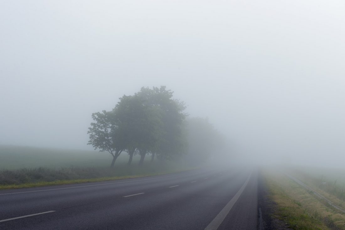 Tree and road in fog