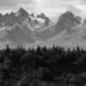 Black and white landscape of mountains and trees