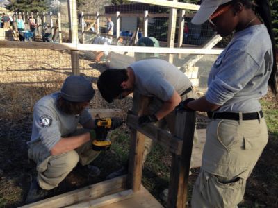 Team members Andrew Myers, Quinn Reynolds and Brianca Jackson work together to build a growing bed for the Vail Valley Salvation Army’s new on-site greenhouse. | Photo courtesy of AmeriCorps