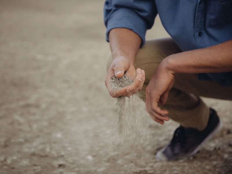 Person holding sand