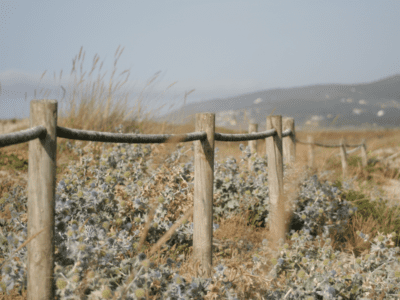 Fence outside