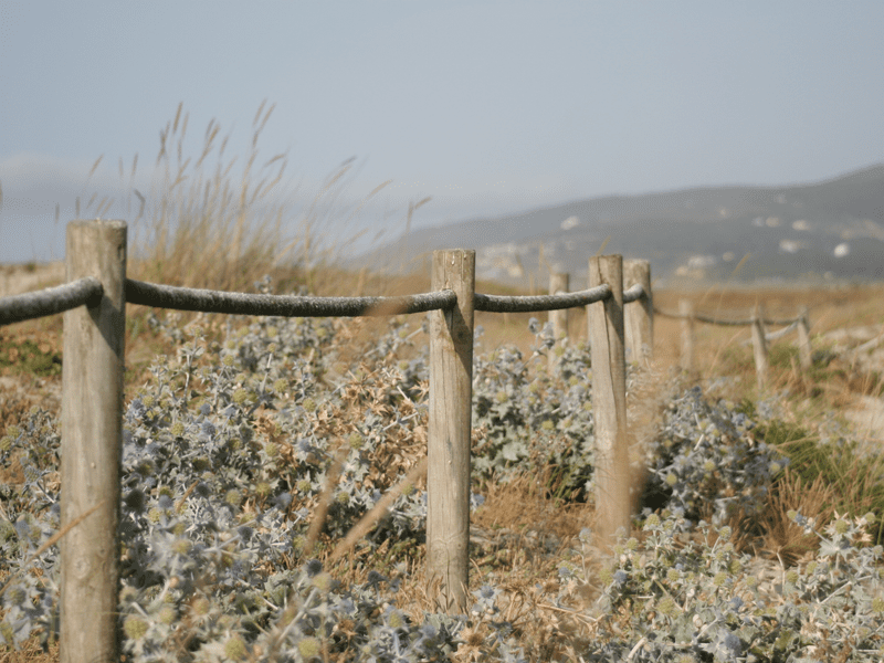 Fence outside