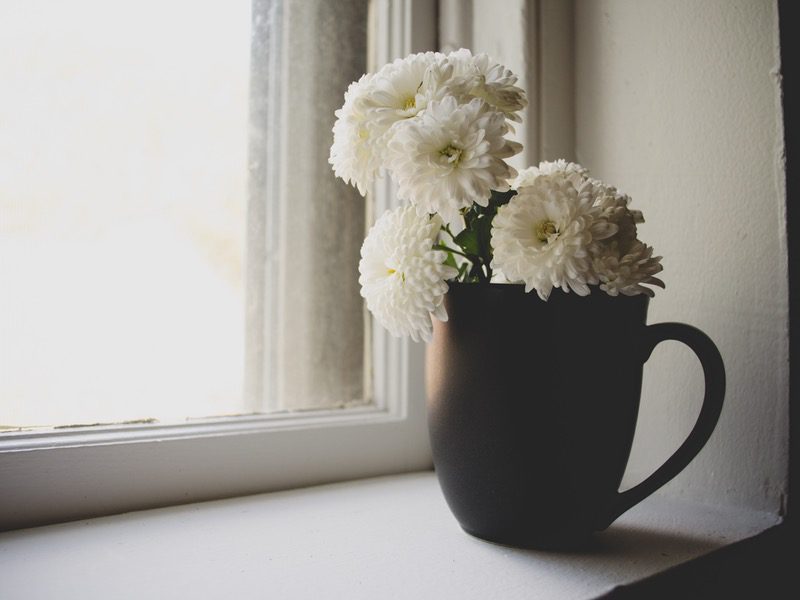 cup filled with flowers next to window