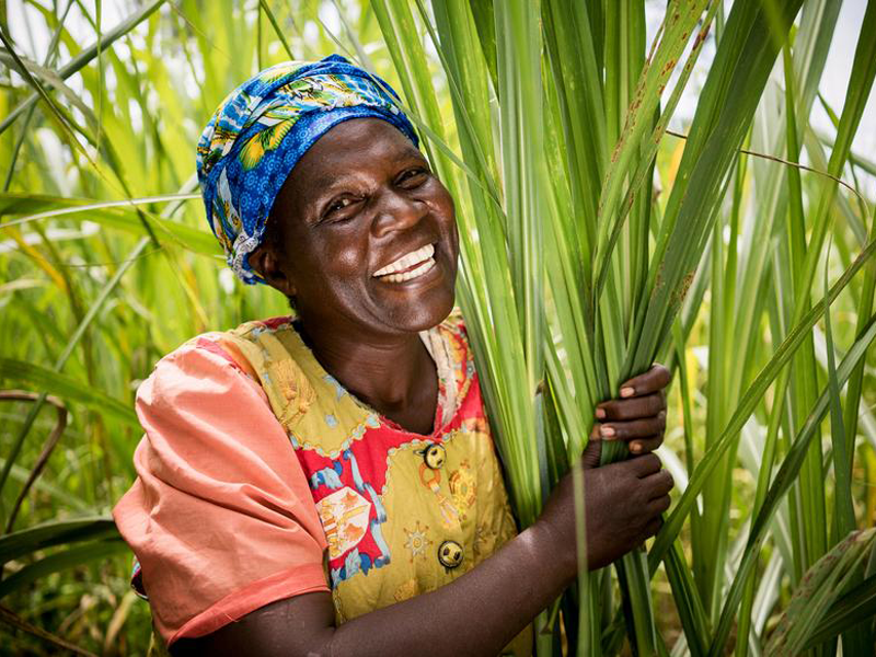 Women smiling while holding plant