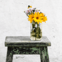 Flowers in vase on stool
