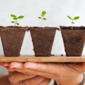 lessons learned as a volunteer