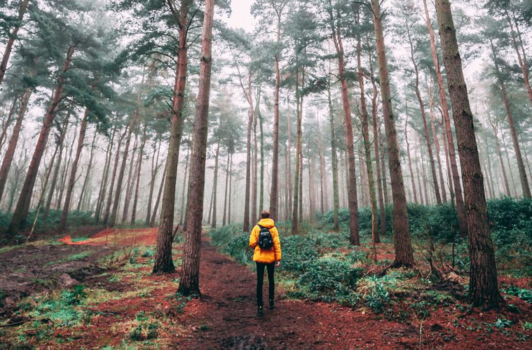 person walking through woods