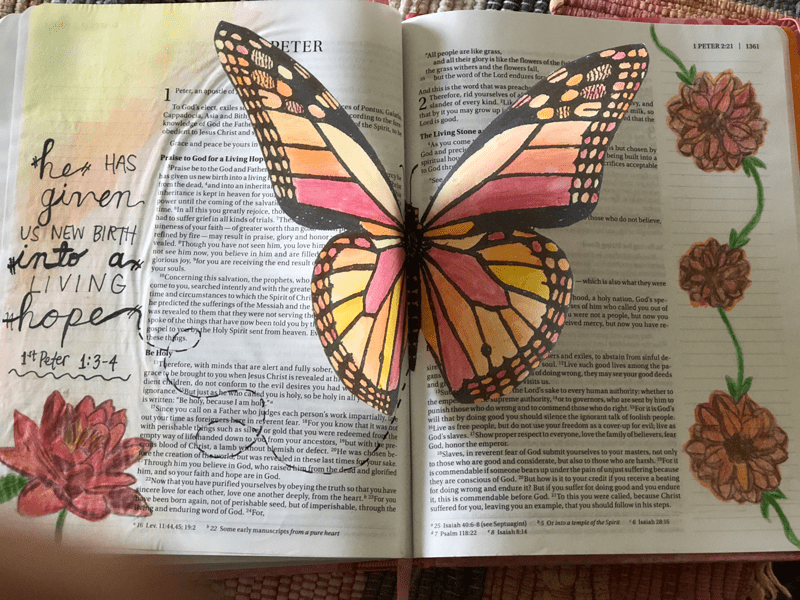 Bible journaling with butterfly, flowers, and text