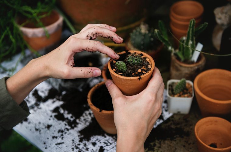 hands with dirt on them holding small plant in pot