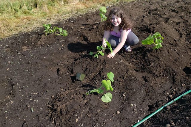 Young girl planting vegetables