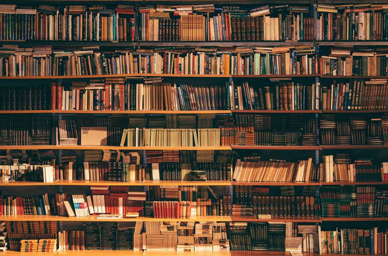 Books on Shelves in Library