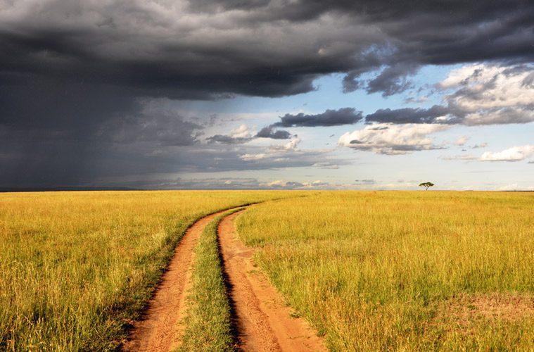 Path with storm on left that leads to tree on right and clear skies