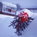 Mailbox and Wreath Covered in Snow