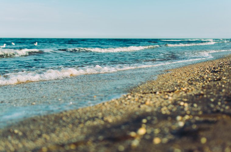 ocean shoreline during day