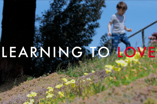 "Learning To Love"