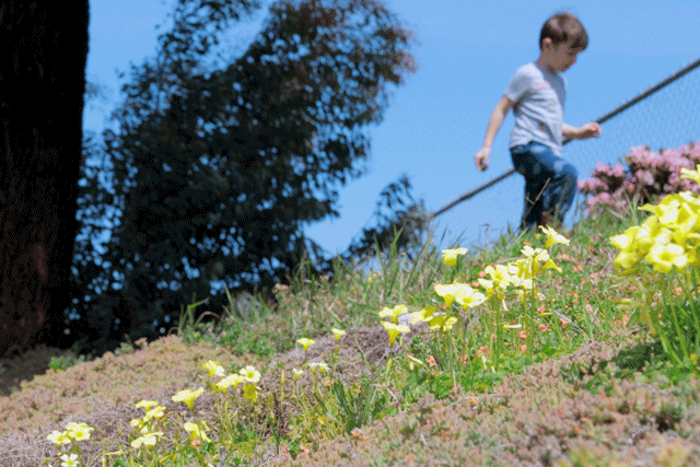 Child walking up hill