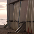 Bay of Dreams: Stand up paddling to new perspectives