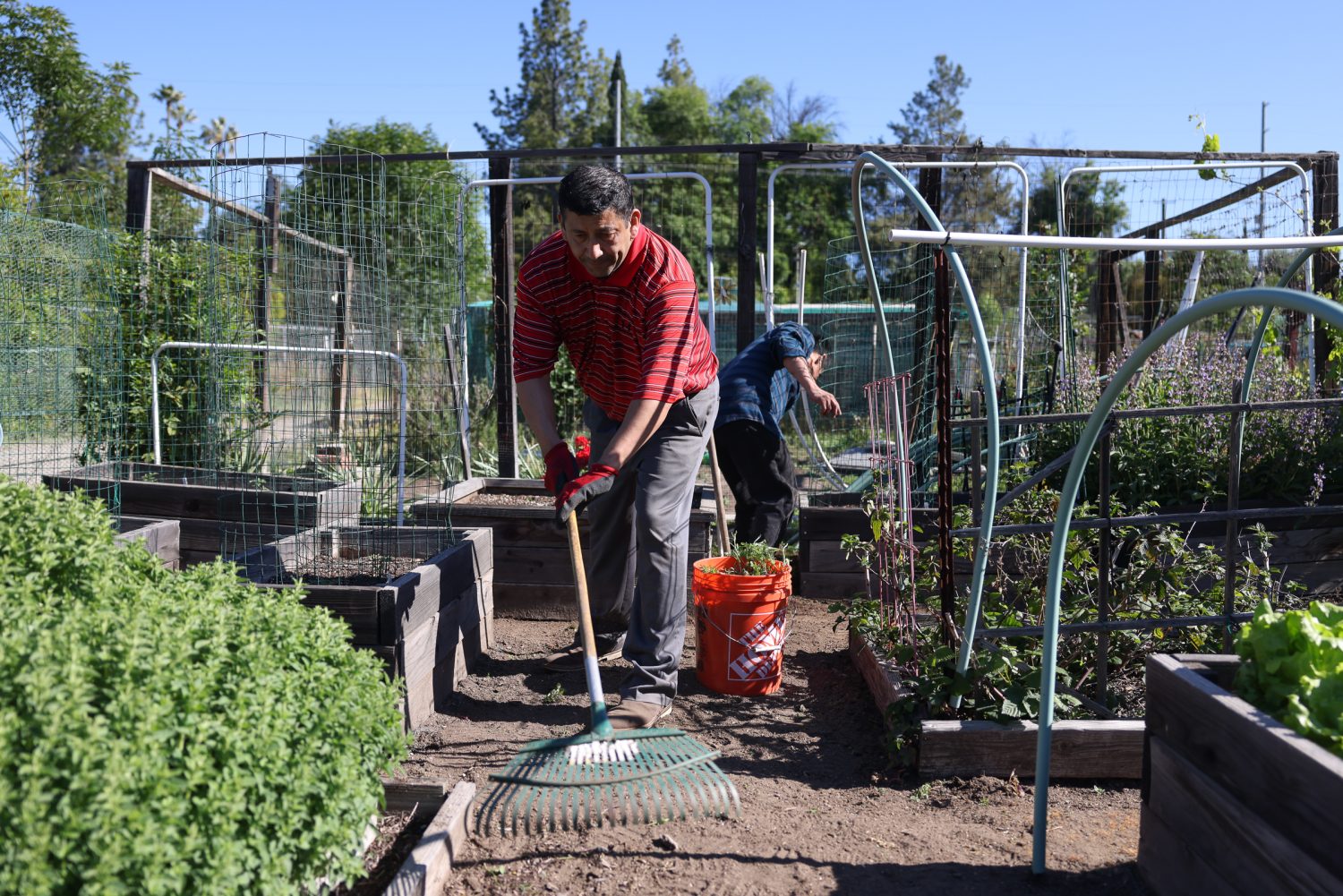 A Salvation Army community garden plot brings renewal for men in recovery