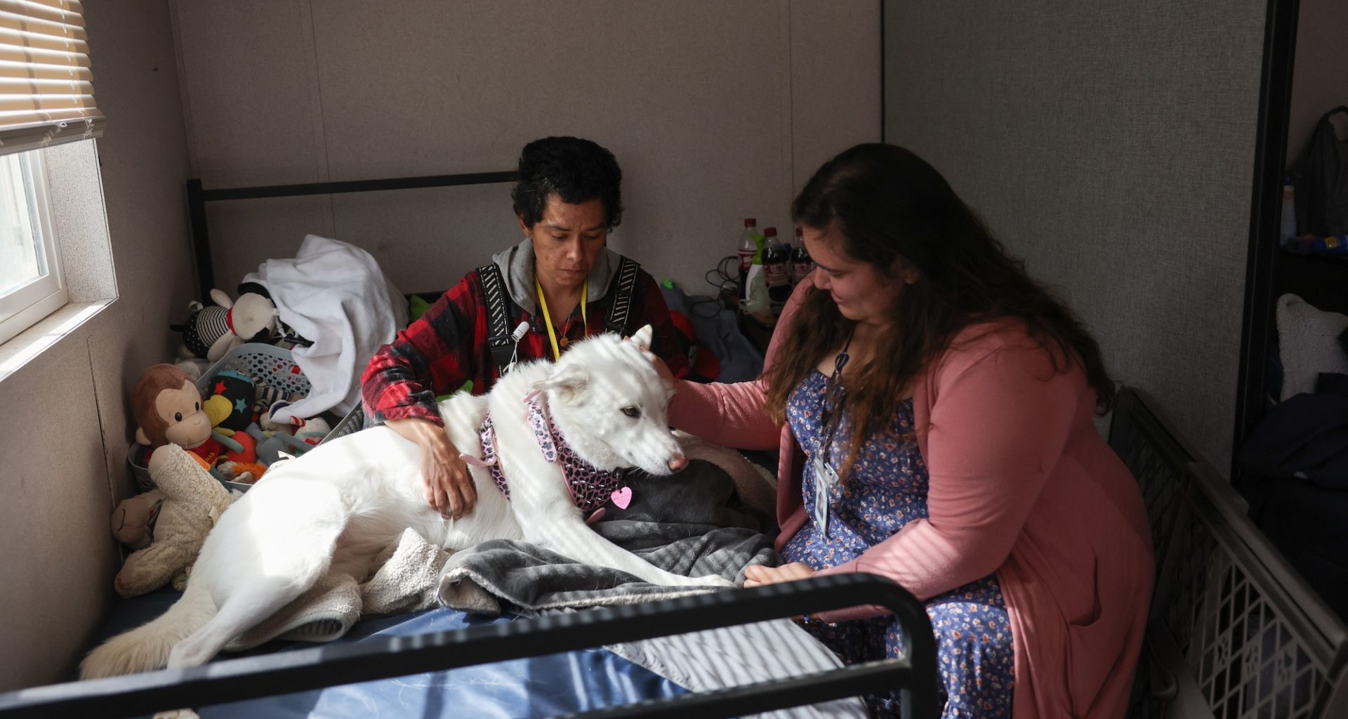 In Anaheim, pet owners find a haven of support at emergency shelter