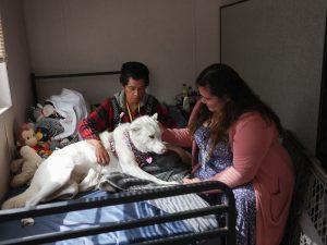 In Anaheim, pet owners find a haven of support at emergency shelter