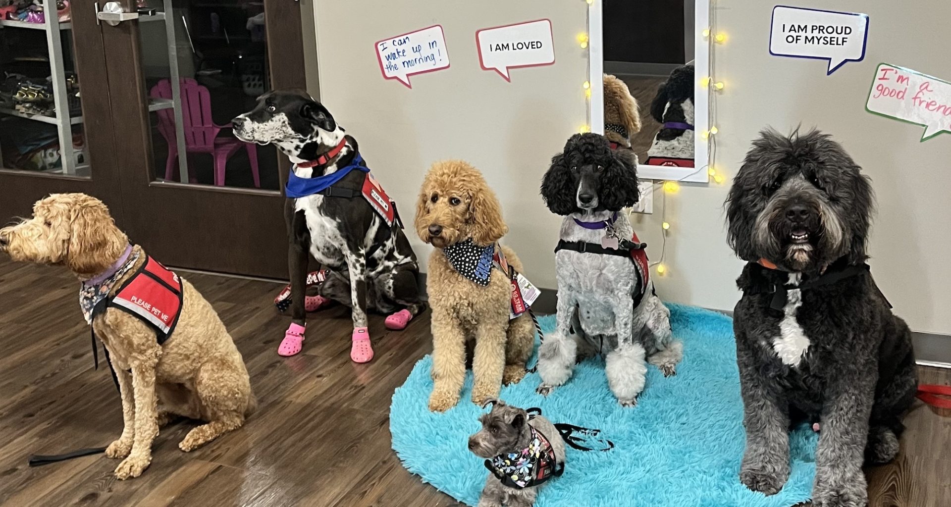 Therapy dogs bring 'one more layer of community' to The Salvation Army Booth Program