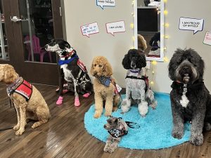 Therapy dogs bring 'one more layer of community' to The Salvation Army Booth Program