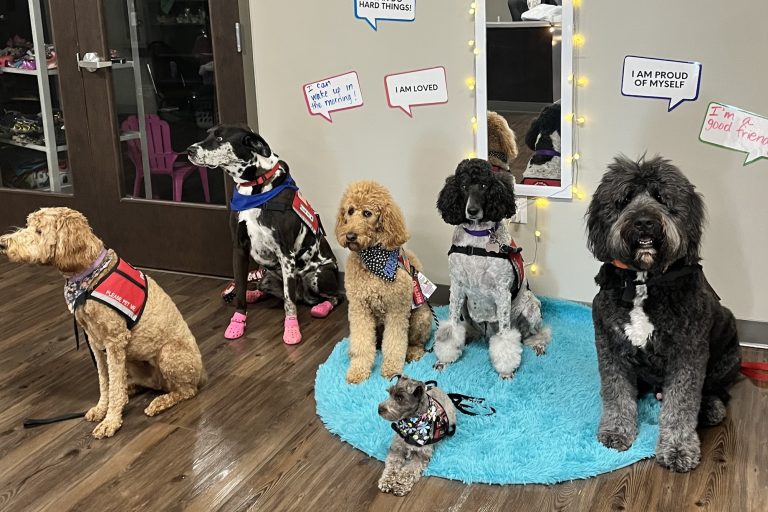 Therapy dogs bring 'one more layer of community' to The Salvation Army Booth Program