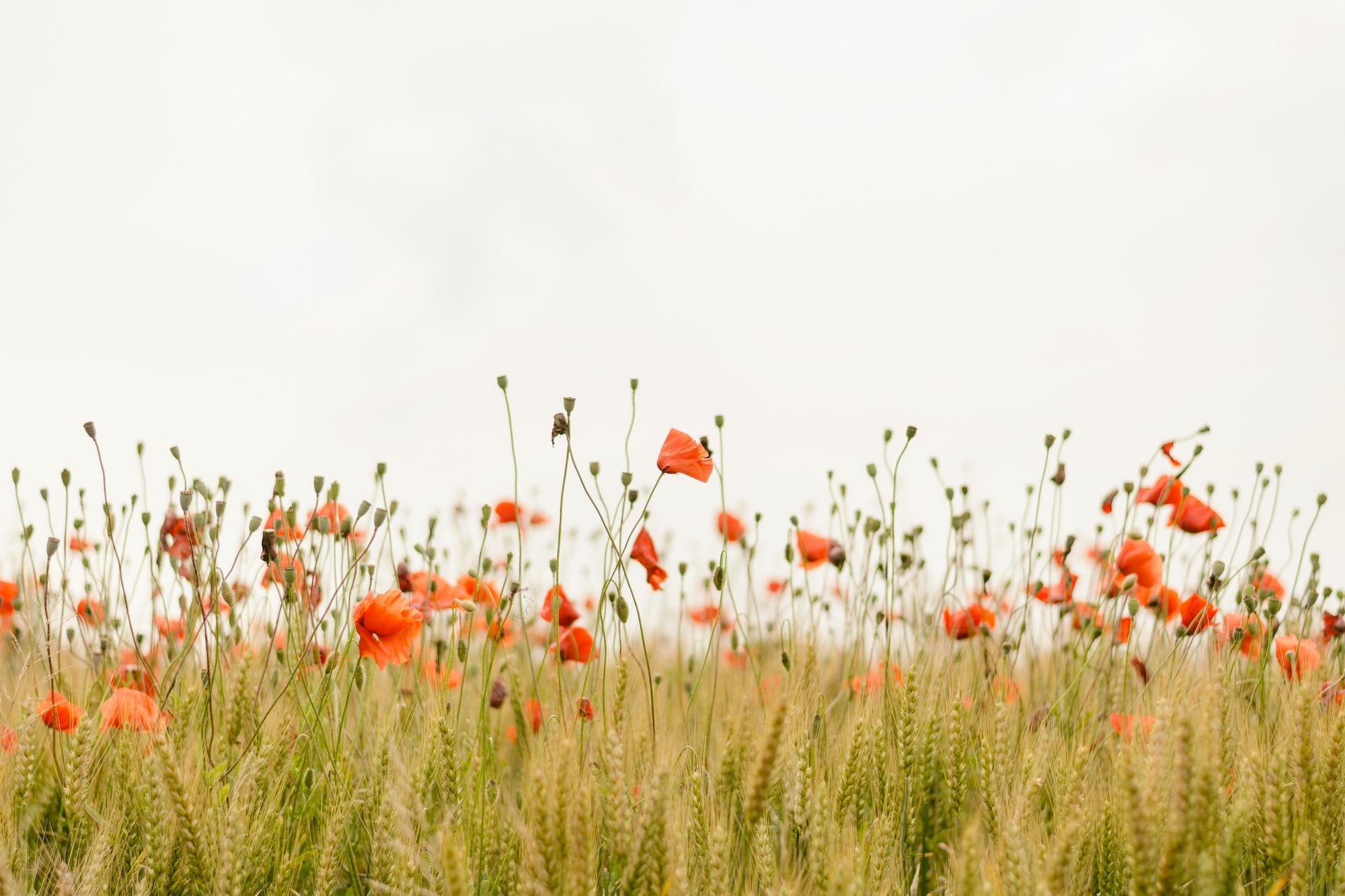 5 ways to connect with God in nature