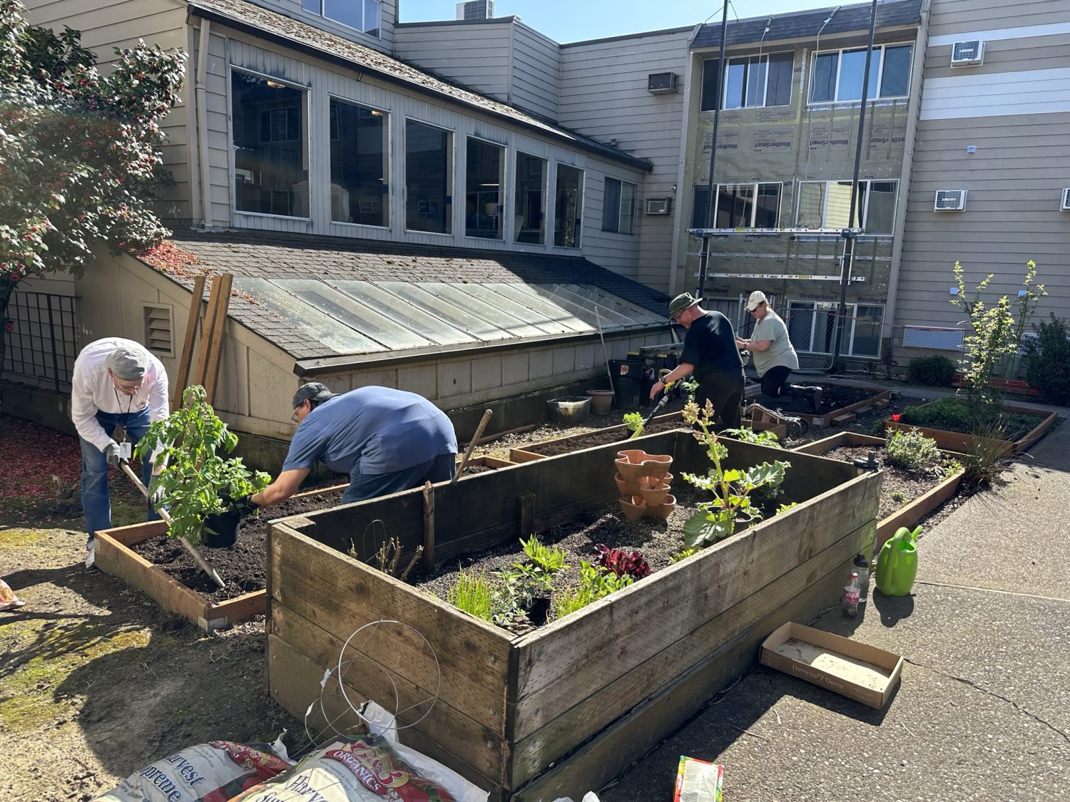 Gardening and hands-on activities help veterans heal from PTSD