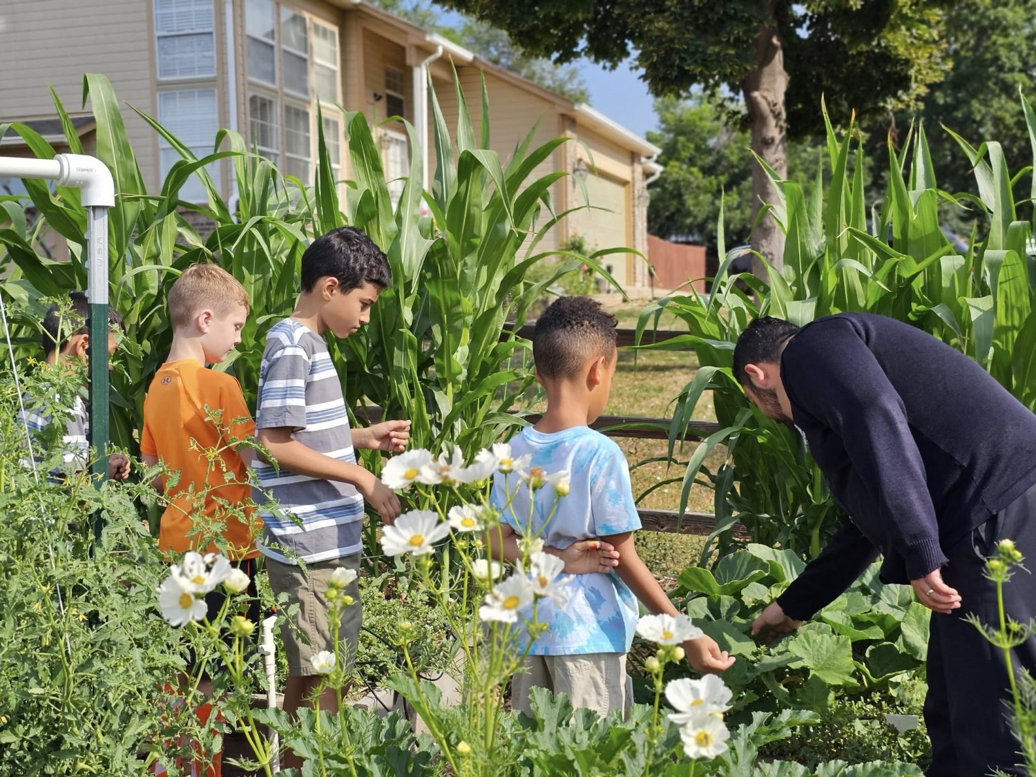Salvation Army garden harvest feeds Broomfield families through local partnership