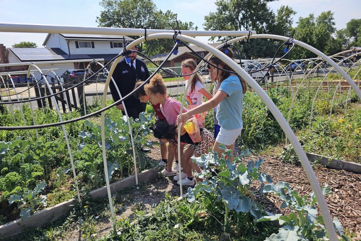 Salvation Army garden harvest feeds Broomfield families through local partnership