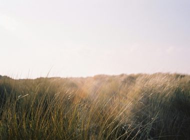 On working, resting and living a full existence