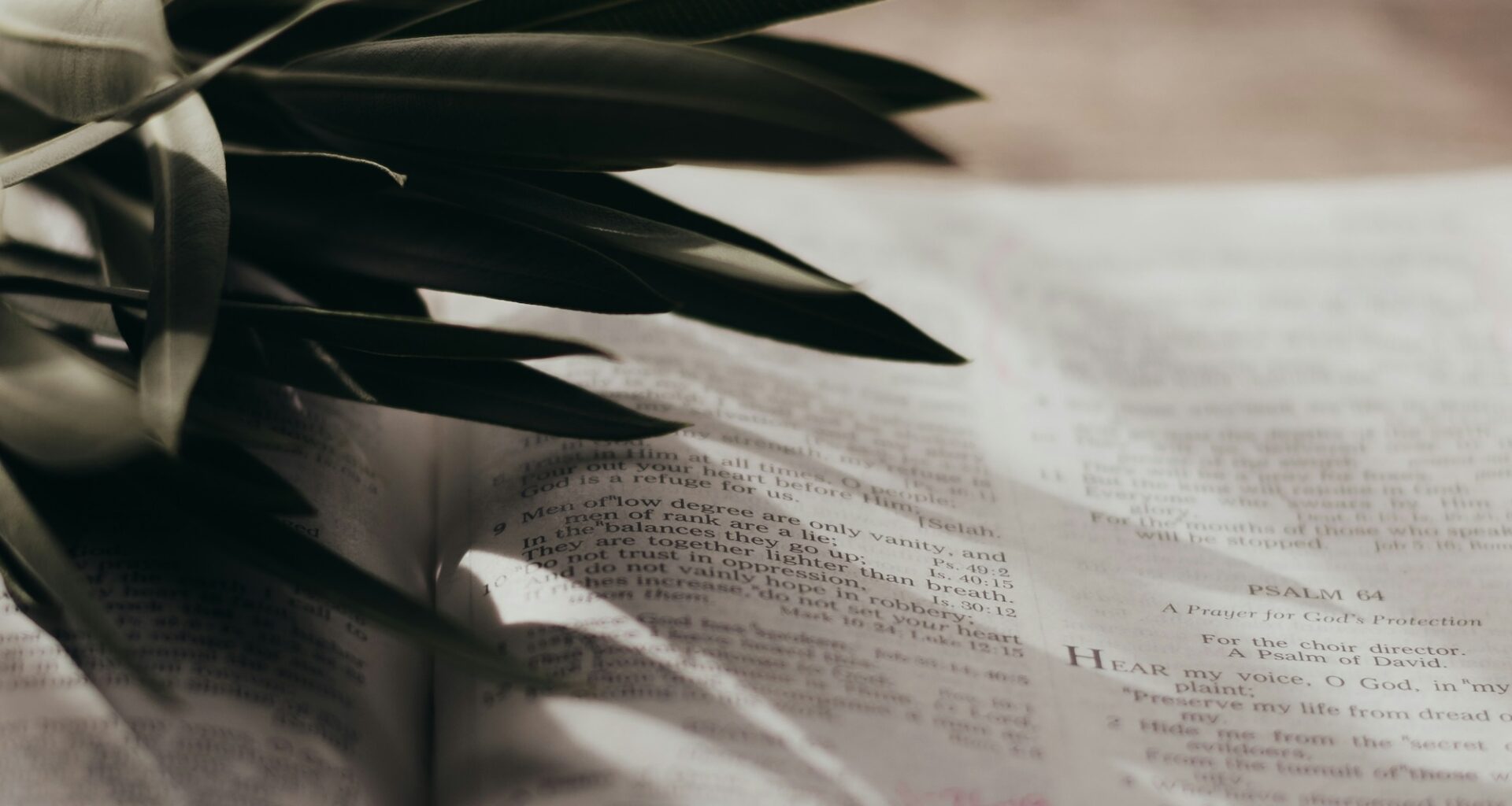 ‘I am the resurrection and the life’