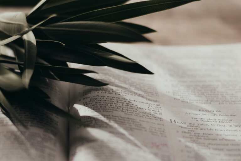 ‘I am the resurrection and the life’