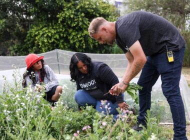 GrowGood garden at Bell Shelter helps residents find peace and renewed purpose