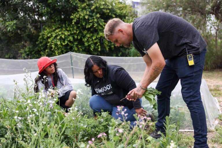 GrowGood garden at Bell Shelter helps residents find peace and renewed purpose