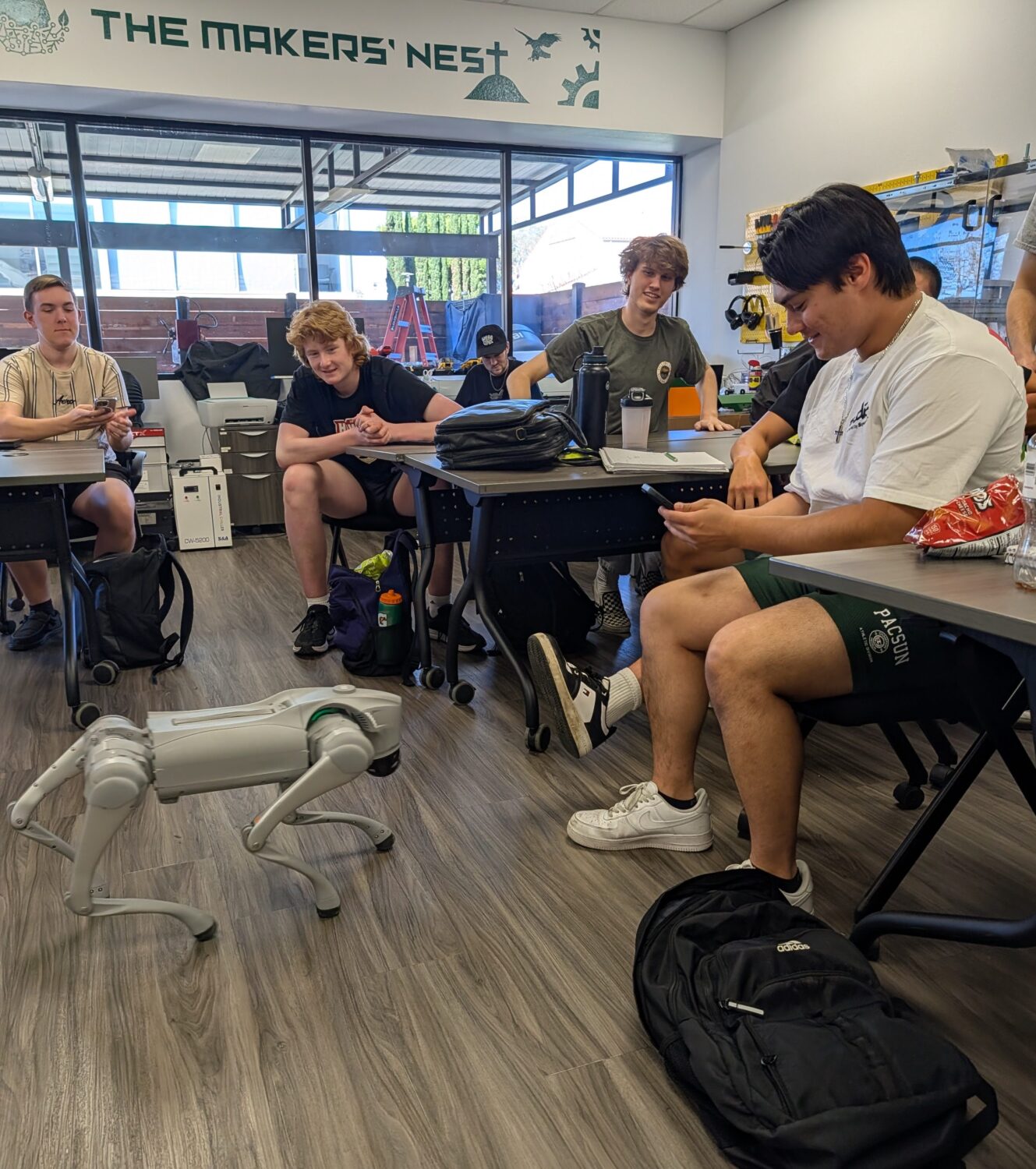 Cosmo the robot dog’s unlikely mission